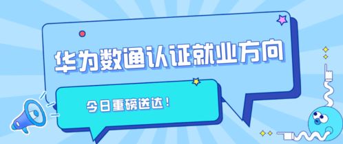 華為數通認證與信息系統運行維護服務的就業方向